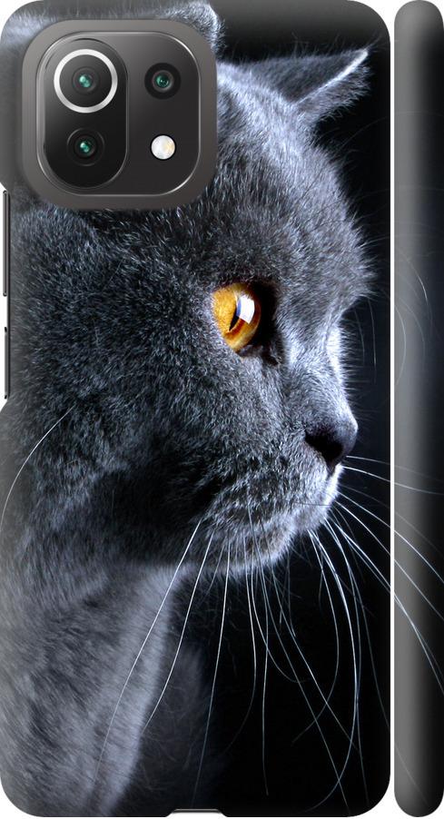 Чехол на Xiaomi Mi 11 Lite Красивый кот (3038m-2281-42517)