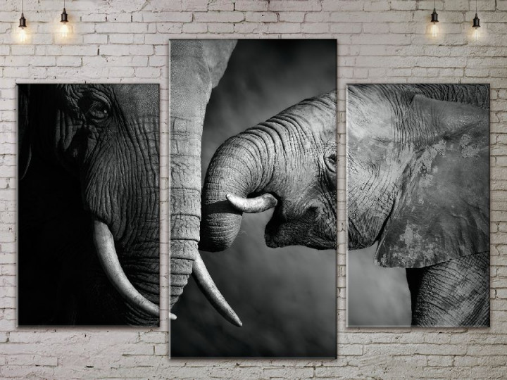 Картина модульная 3 части ArtStar Слоны 120х180 см ADJ0048
