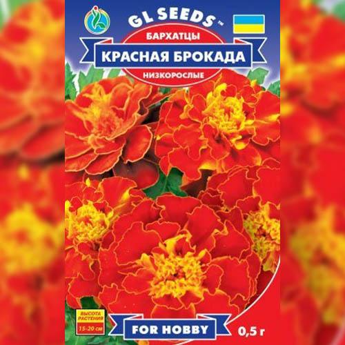 Семена Бархатцы Красная Брокада Florium - фото 3 Семена Бархатцы Красная Брокада Florium - фото 3