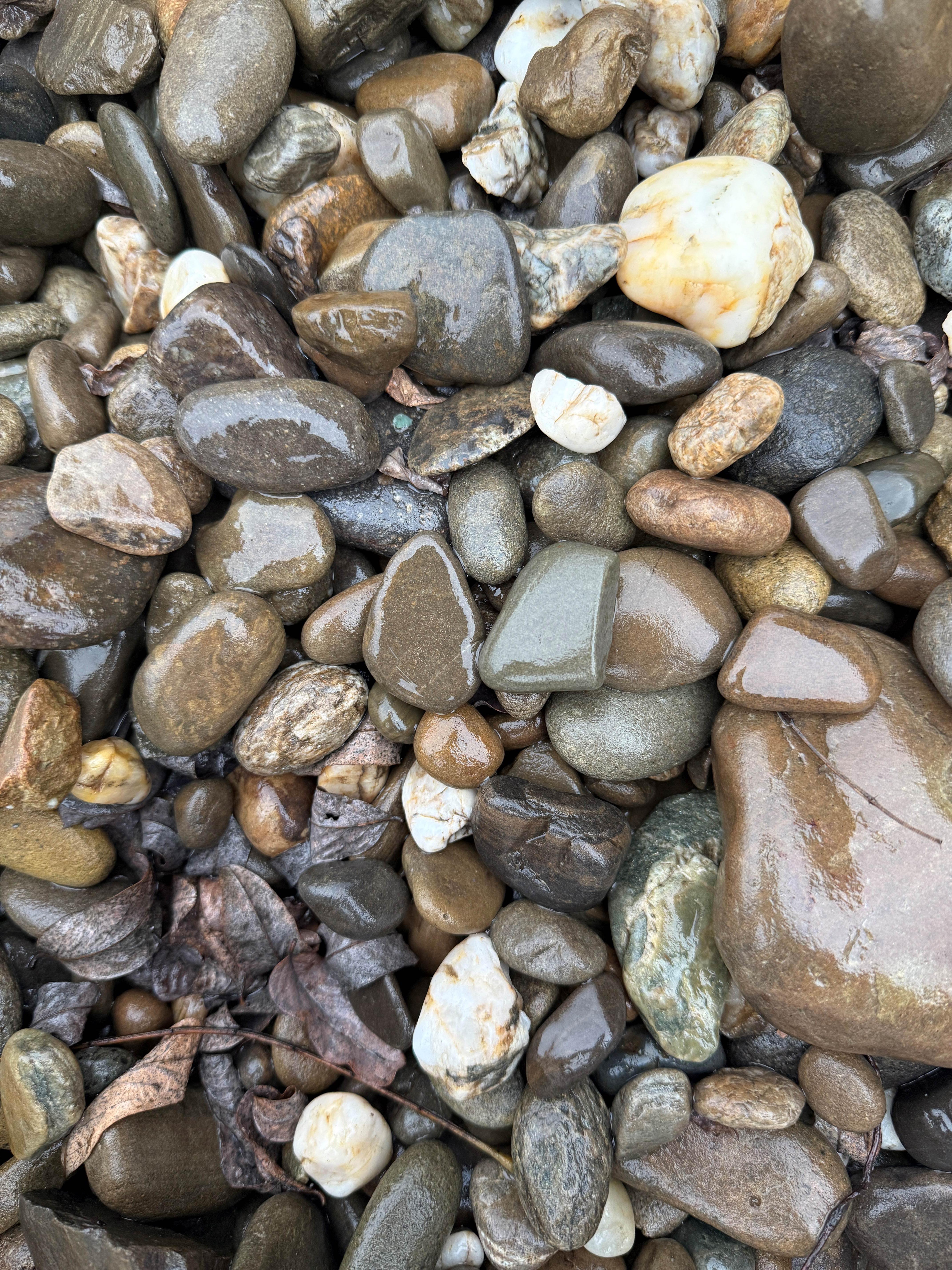 Галька декоративна річкова кольорова 60-120 мм 10 кг (5419)