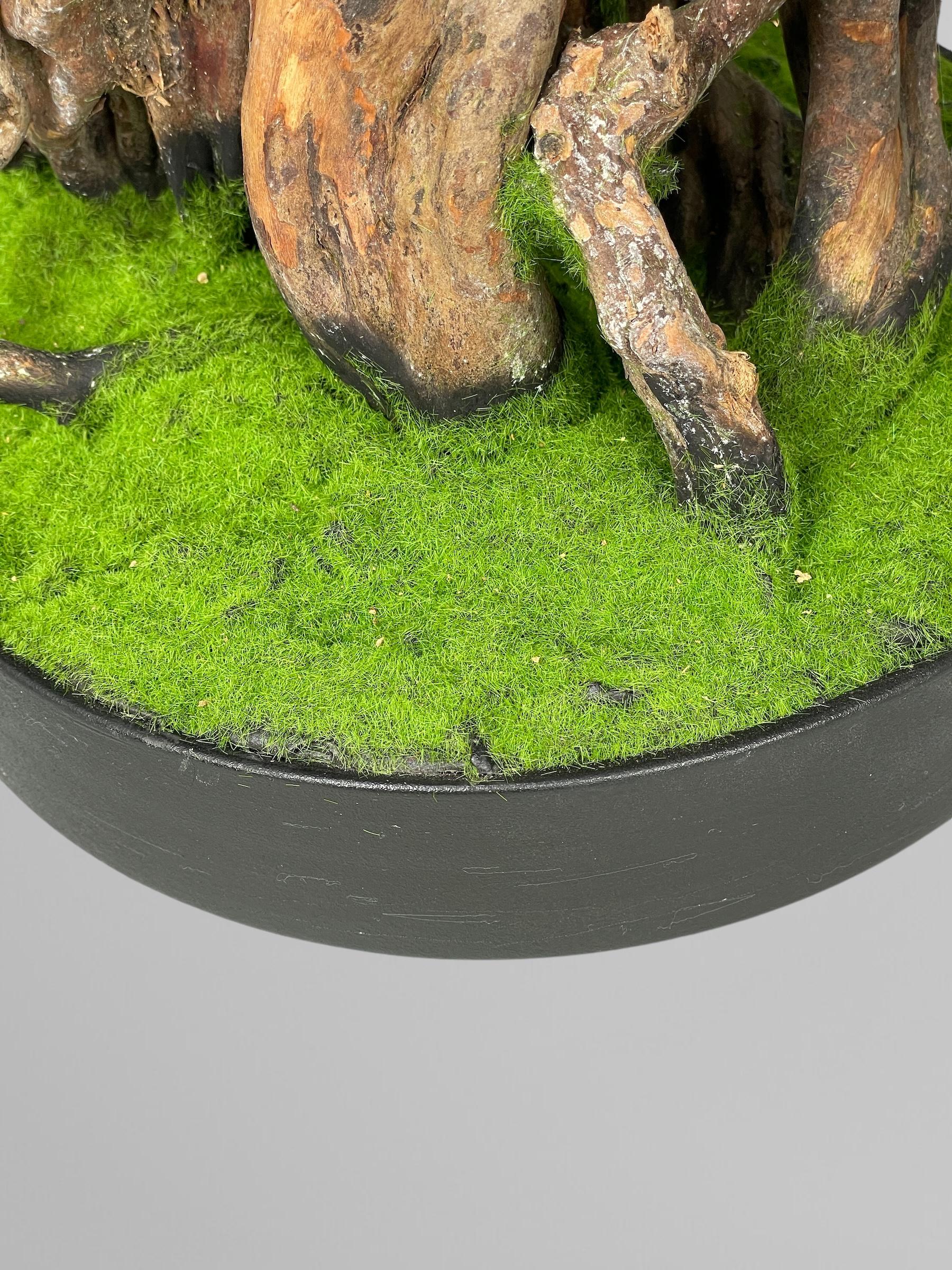 Бонсай 52 см Зеленый (Б007) - фото 6 Бонсай 52 см Зеленый (Б007) - фото 6