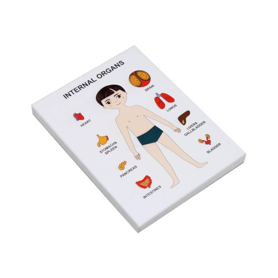 Пазли навчальні органи людини Internal (30349)