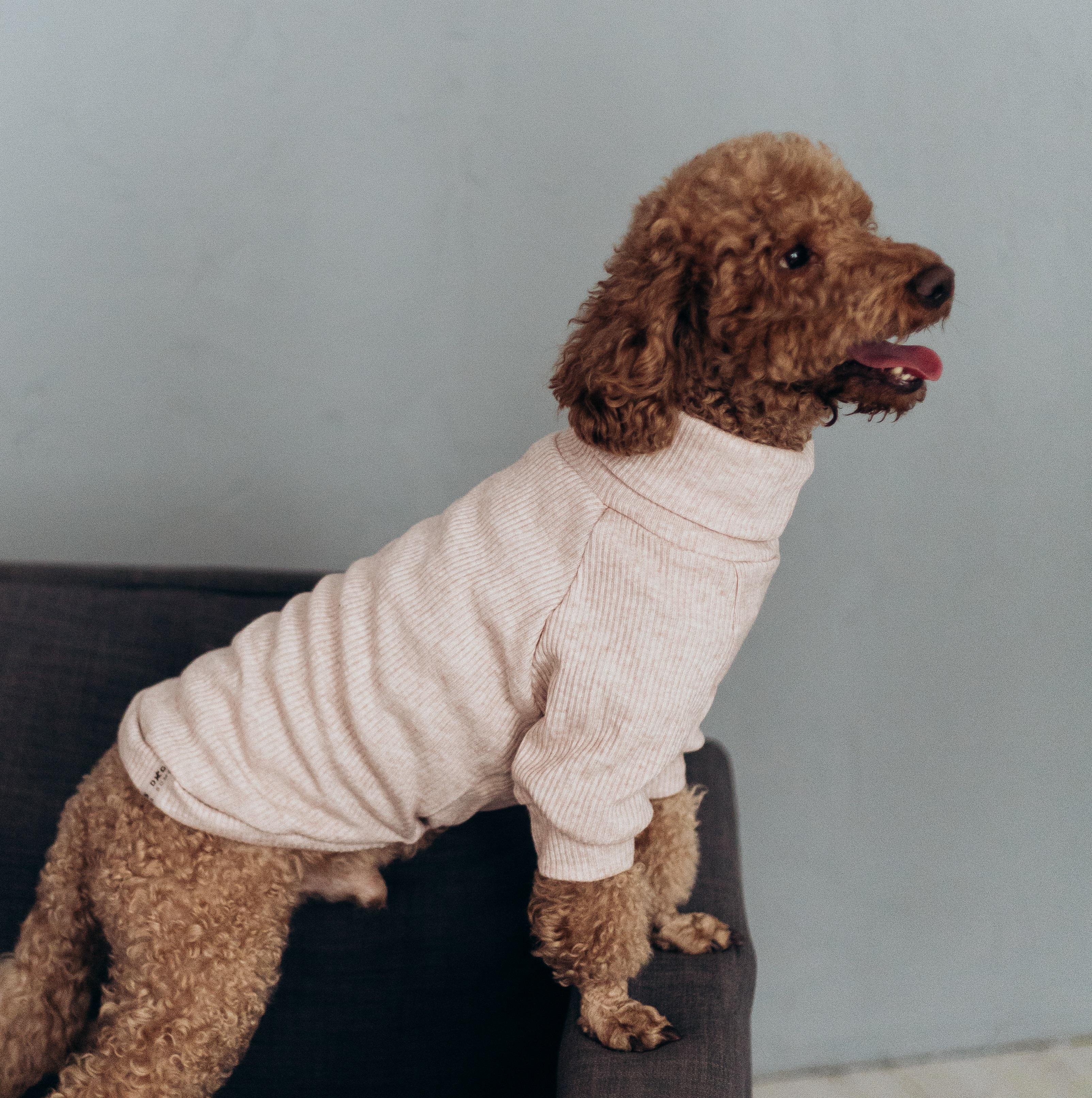 Гольф для собак Y-319 р. 1 Пудровый (77179966) - фото 1 Гольф для собак Y-319 р. 1 Пудровый (77179966) - фото 1