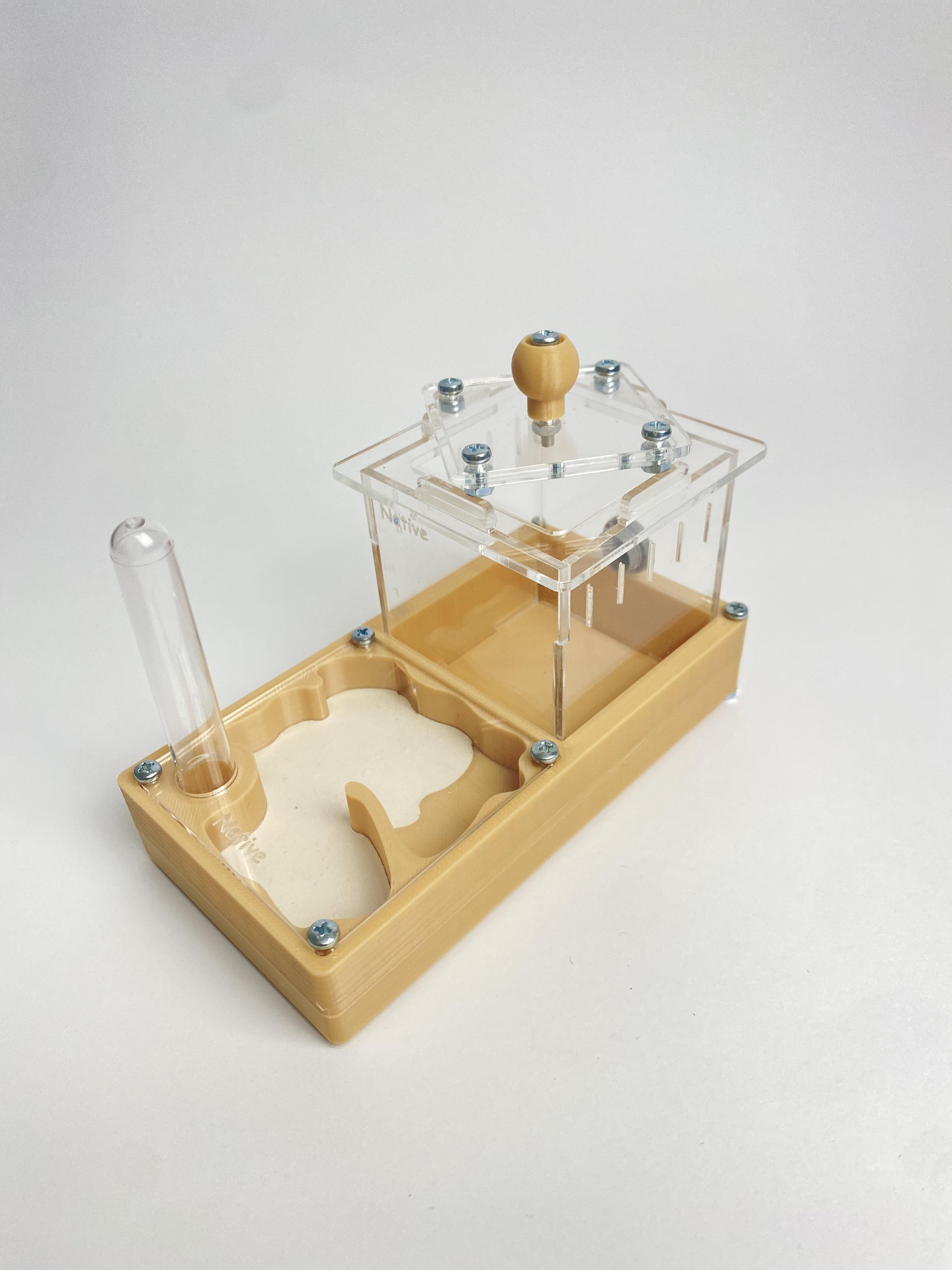 Муравьиная ферма з ареною Формикарий "Мини" 7х14 см Бежевый (2580576876)