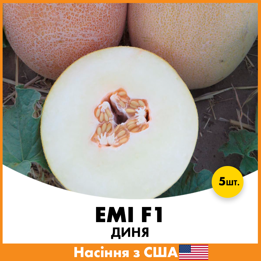 Семена дыни Эми F1 5 шт. (jkl11)