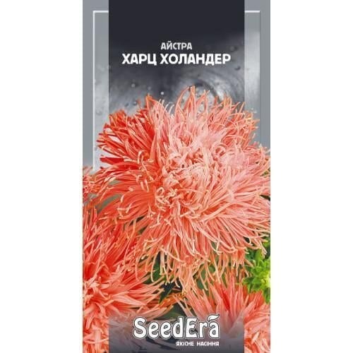 Семена цветов Астра Харц Холандер высокорослая Семейный сад 0,25 г (CS-0939)