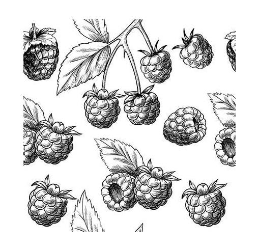 Фотообои Artside Малина 485345740 Фотообои Artside Малина 485345740