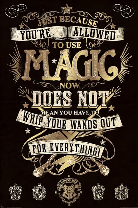Постер плакат Гарри Поттер Магия/Harry Potter Magic 61x91,5 см