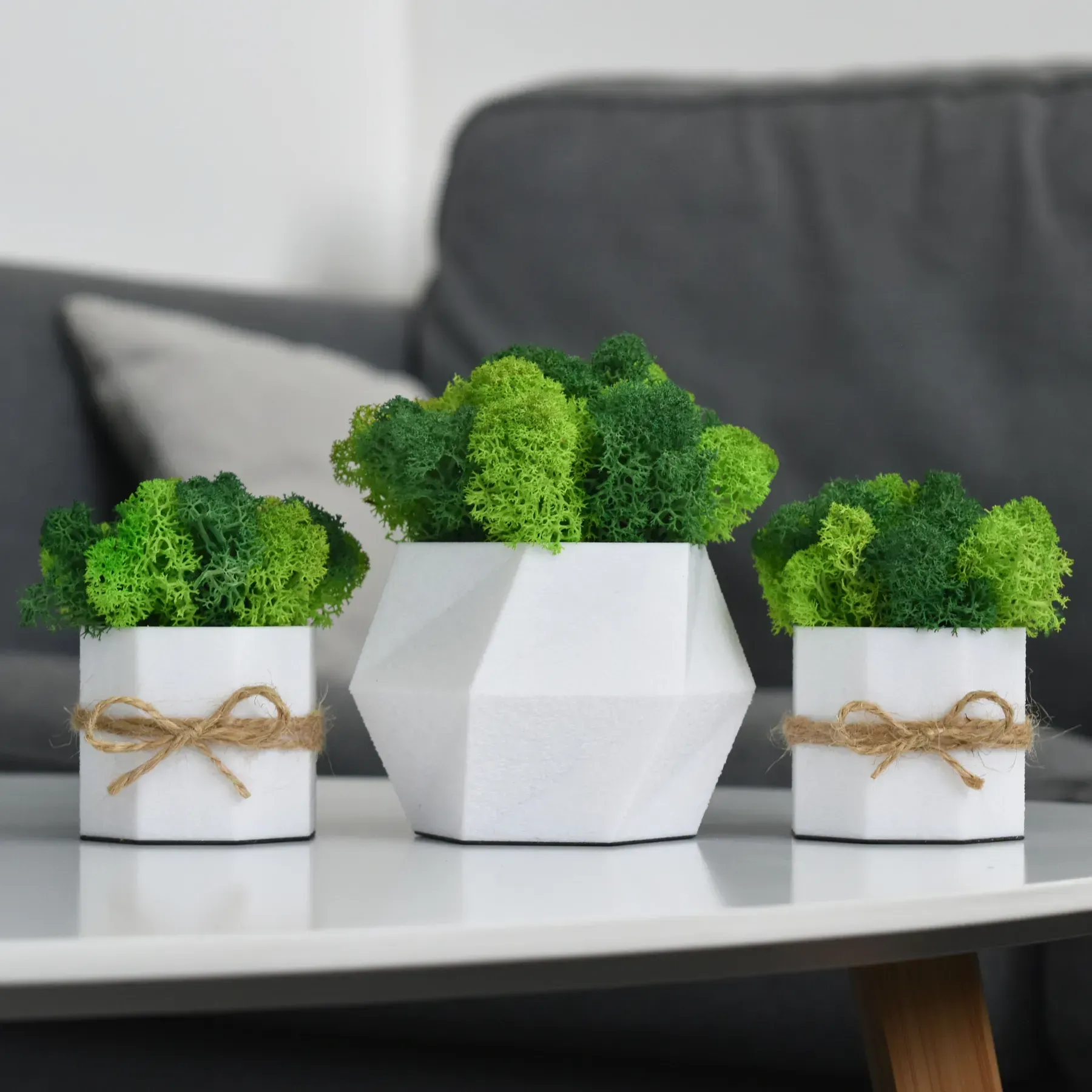 Комплект кашпо со стабилизированным мхом Ягель 3 шт. Белый/Зеленый/Салатовый (NA-B-1)