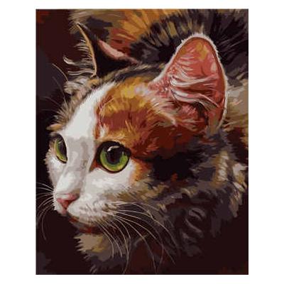 Набор для росписи по номерам Strateg Зеленоглазой кот 40х50 см (VA-0241-mt)