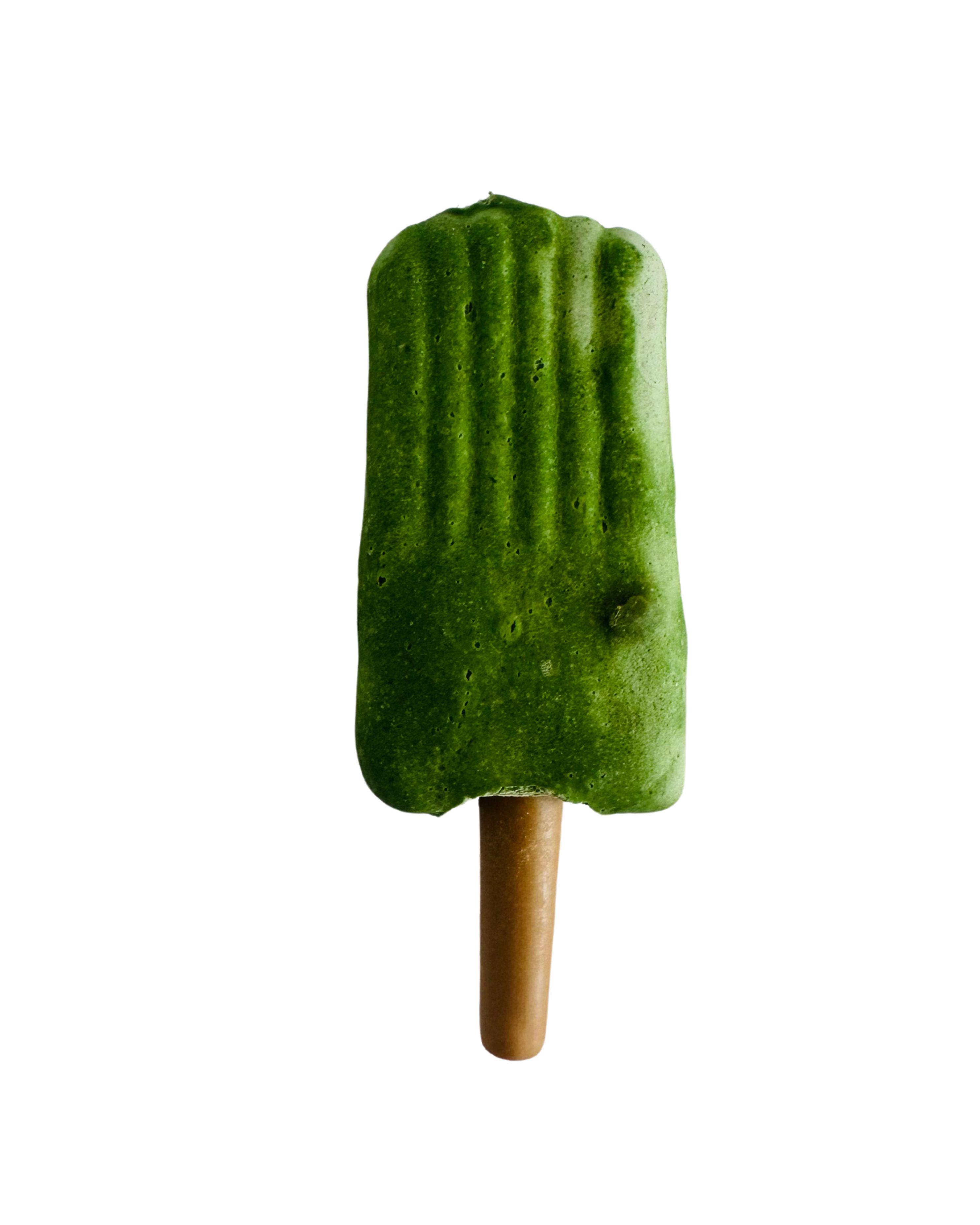 Лакомство Trixie Ice Pop с курицей для собак Зеленый (TX-91991)