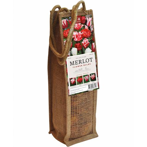 Комплект тюльпанов Florium Wine Merlot брендовые луковицы kapiteyn (15387)