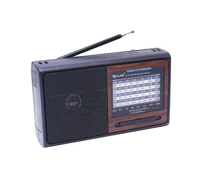 Радиоприемник Golon RX-3050 AM/FM/аккумулятор/сеть 220V/шнур в комплекте