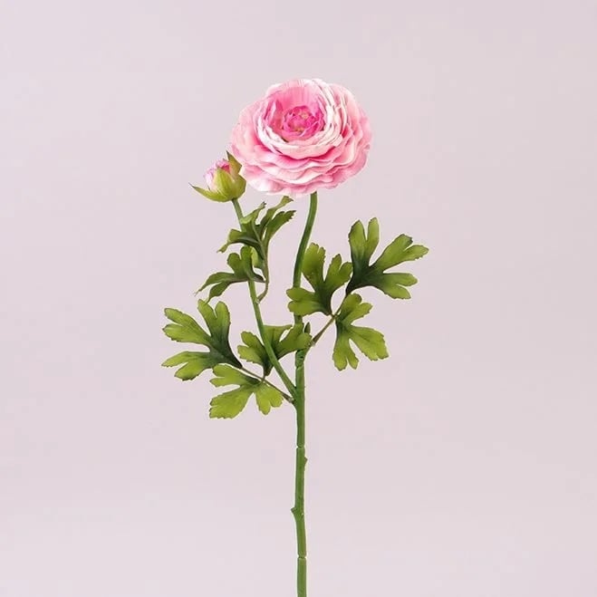 Цветок Ранункулюс Flora Розовый (72799)