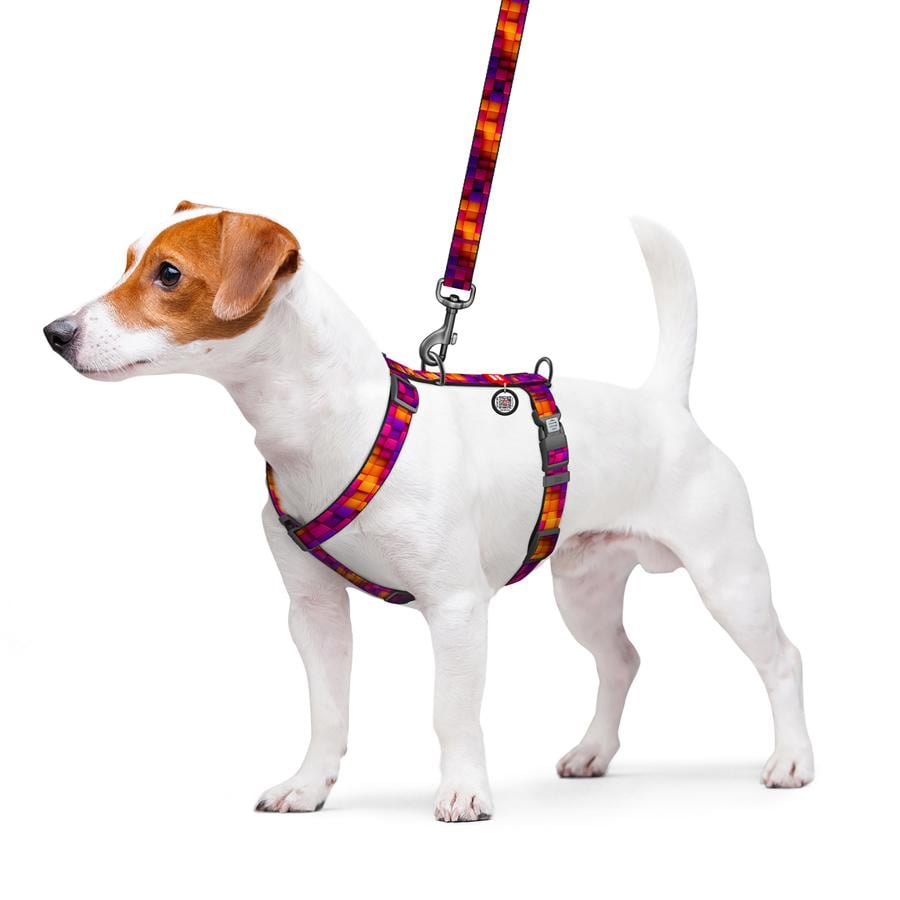 Шлейка для собак с QR-паспортом WAUDOG Nylon Кубы 3Д пластиковый фастекс S 15 мм A 30-45 см/B 36-45 см Разноцветный (343-4057) - фото 3