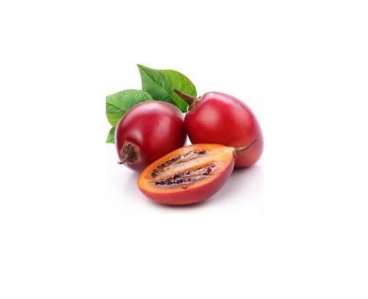 Семена Тамарилло зимостойкий Cyphomandra 20 шт.