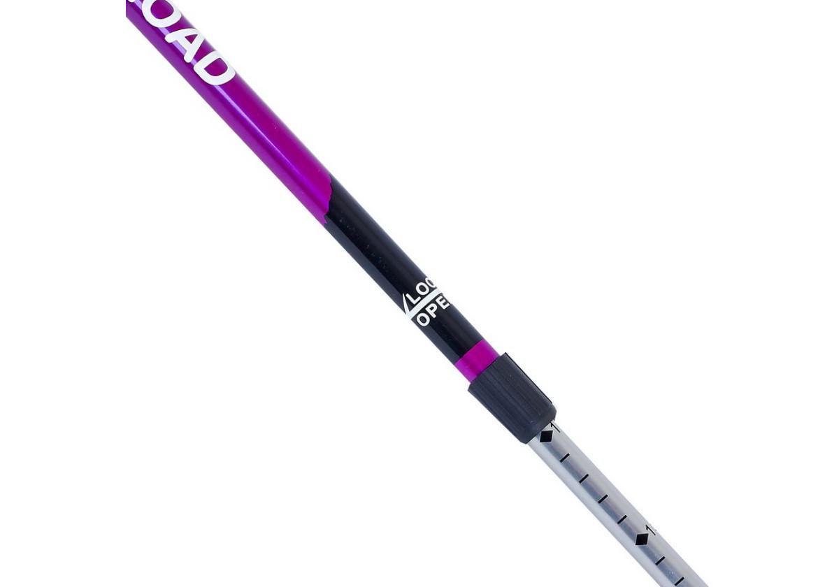 Палиця для скандинавської ходьби EasyFit SKY ROAD Фіолетовий (EF-2471-V) - фото 3