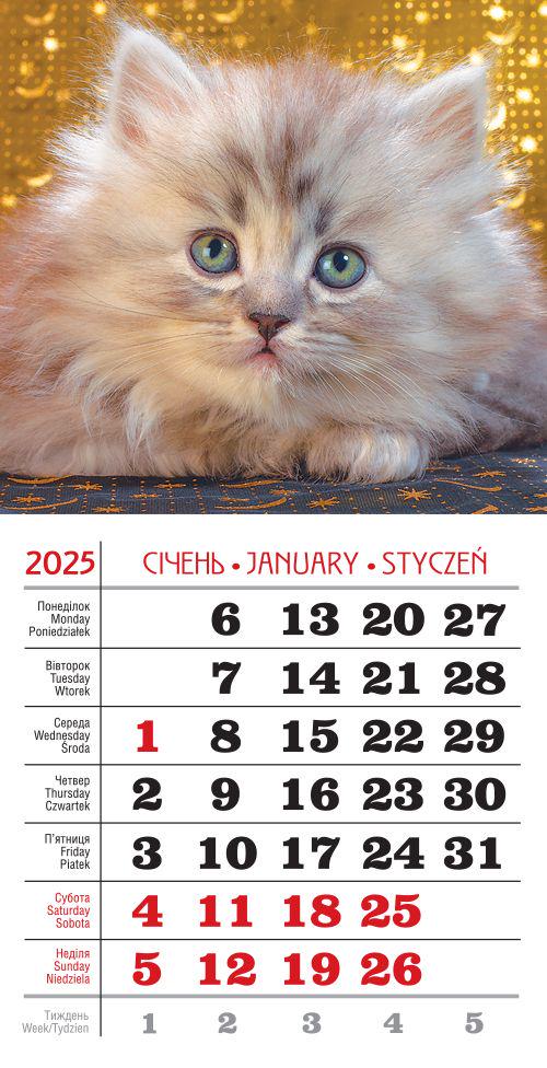 Календар на 2025 р. Магніт Мрійливе кошеня