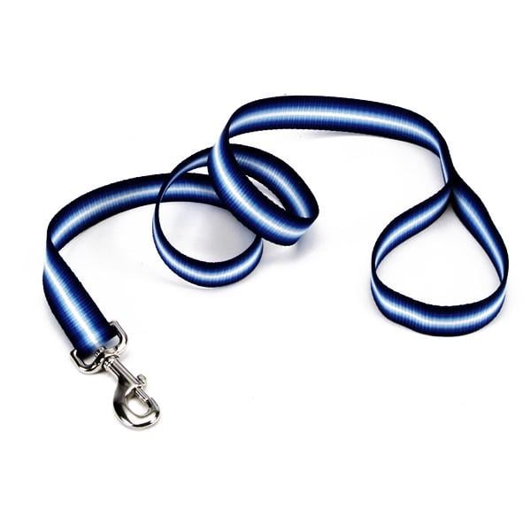 Поводок для собак Coastal Trendz Graduated 1 см 1,8 м (16366_BLU06)