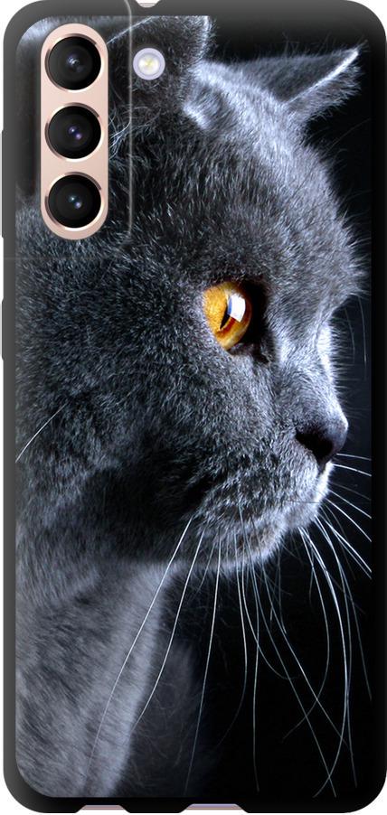 Чехол на Samsung Galaxy S21 Красивый кот (3038b-2114-42517)