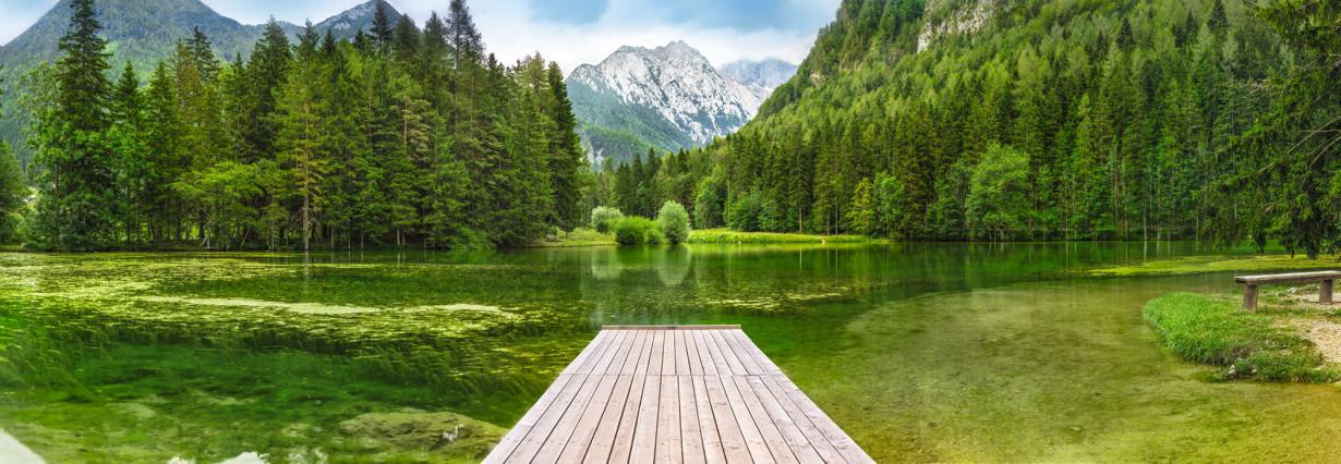 Обои Панно Komar Green Lake бумажные моющие 368х127 см (4-538)