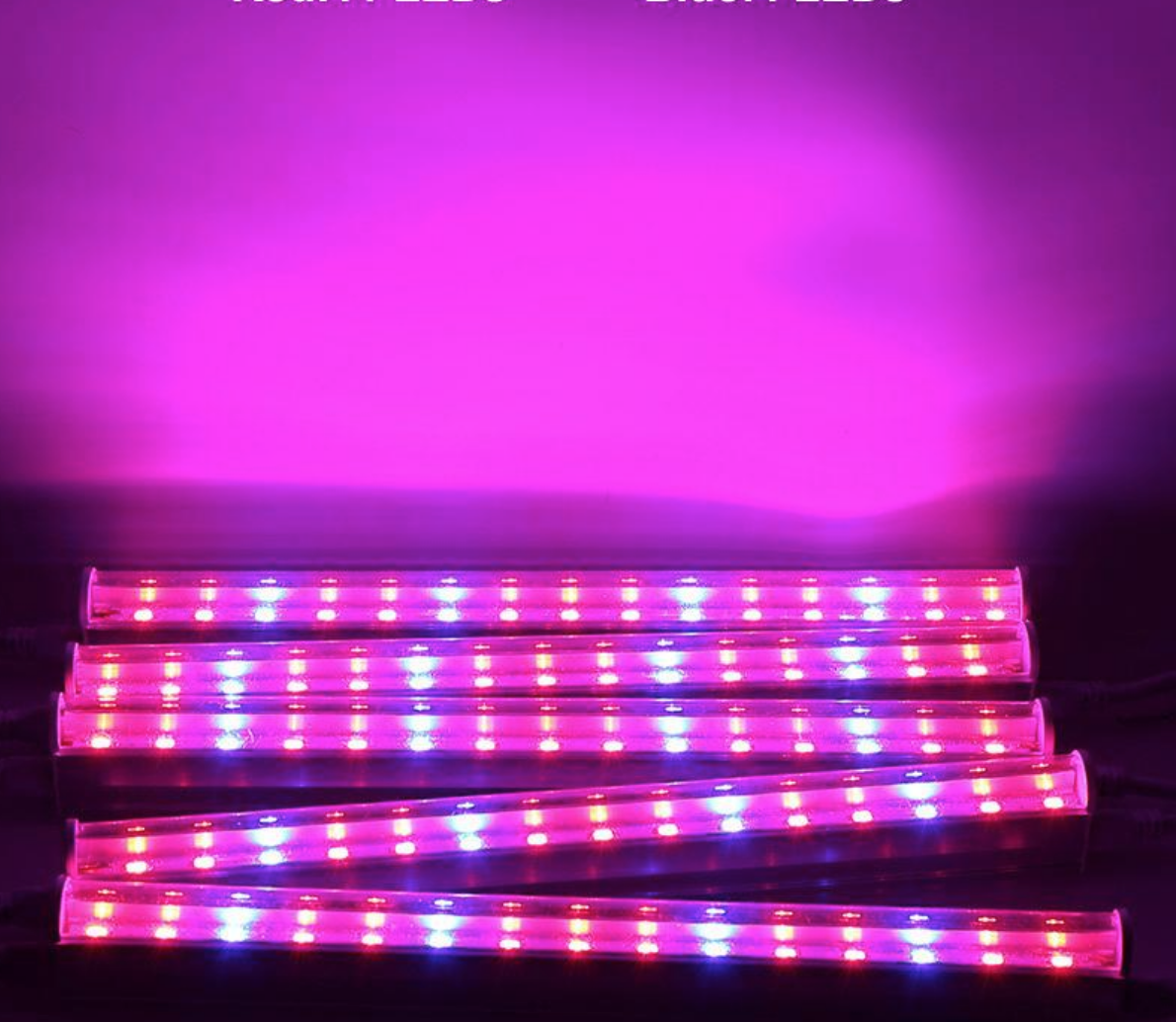 Фитолампа трубчатая для выращивания растений 6W 220 В 30 см Красный/Синий (40_077) - фото 2 Фитолампа трубчатая для выращивания растений 6W 220 В 30 см Красный/Синий (40_077) - фото 2