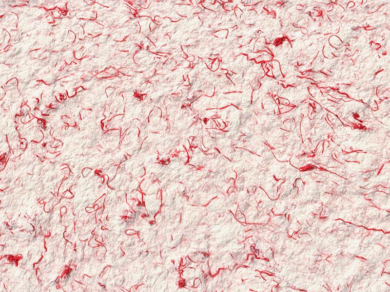 Рідкі шпалери Стиль Тип 1