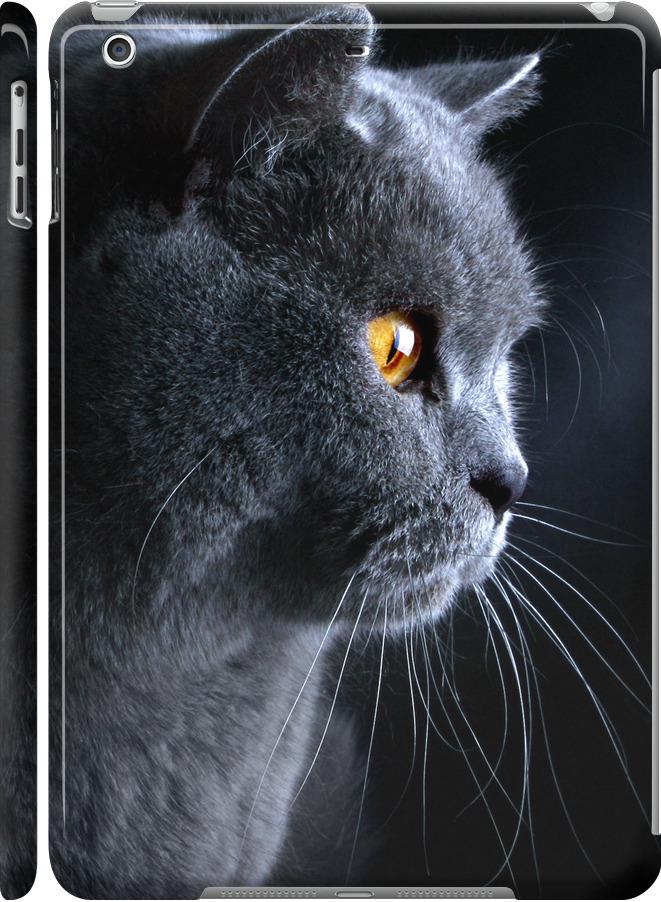 Чехол на iPad 5 (Air) Красивый кот (3038c-26-42517)