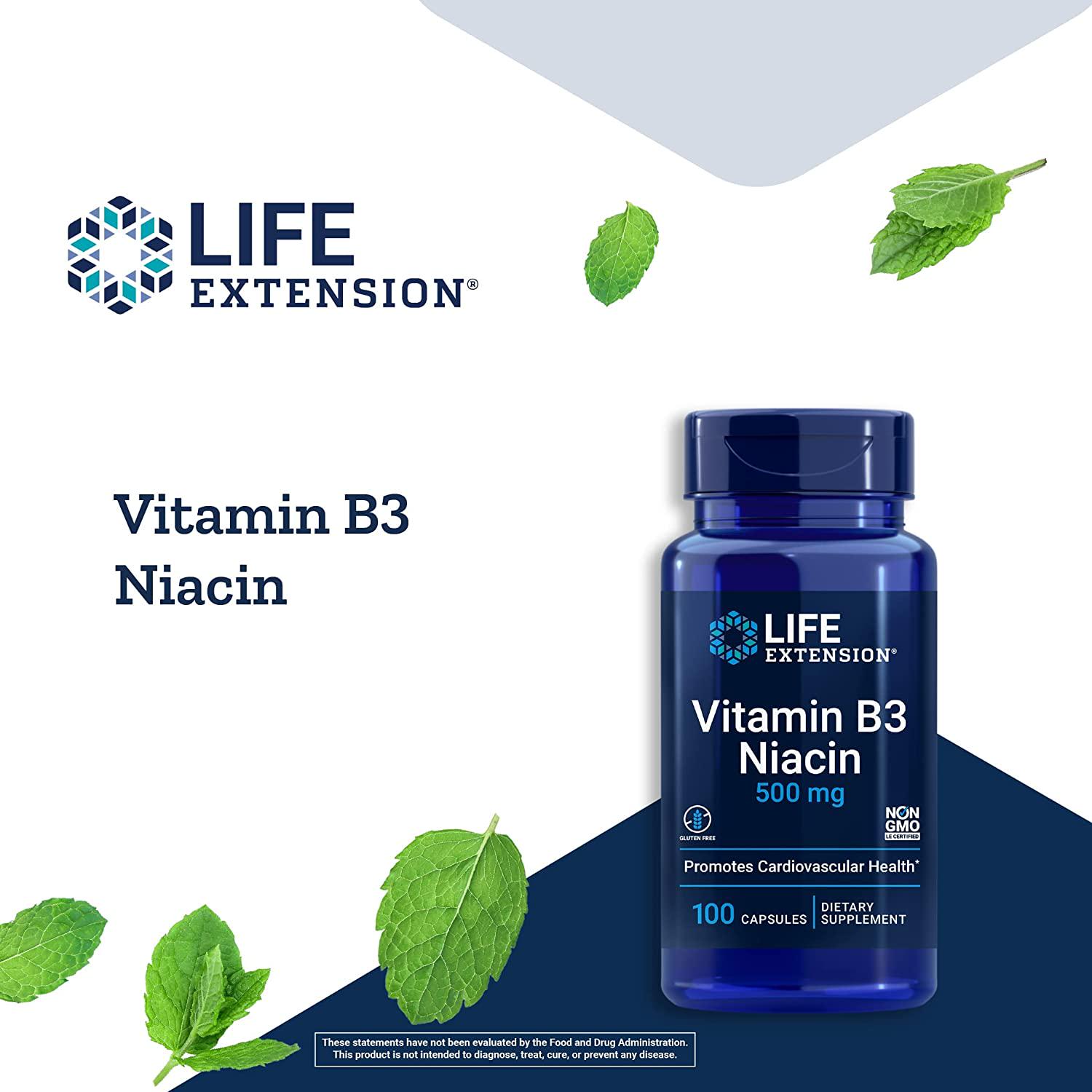 Витамин В3 Life Extension Vitamin B3 Niacin 500 mg 100 Capsules - фото 3