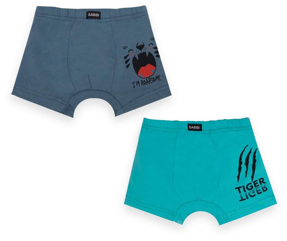 Трусы-шорты детские хлопковые для мальчика Gabbi SHM-21-7 2 шт. р. 28 Индиго-ментоловый темный (12760)