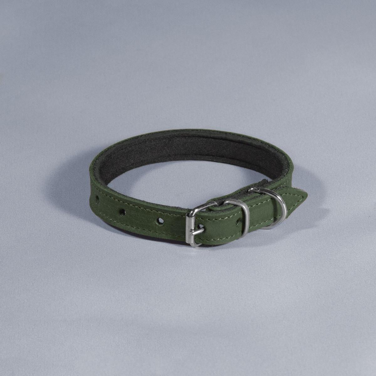 Нашийник для тварин шкіряний Делікат з підкладкою неопрен 18 мм х 28-36 см Зелений (2296447552) - фото 1 Нашийник для тварин шкіряний Делікат з підкладкою неопрен 18 мм х 28-36 см Зелений (2296447552) - фото 1