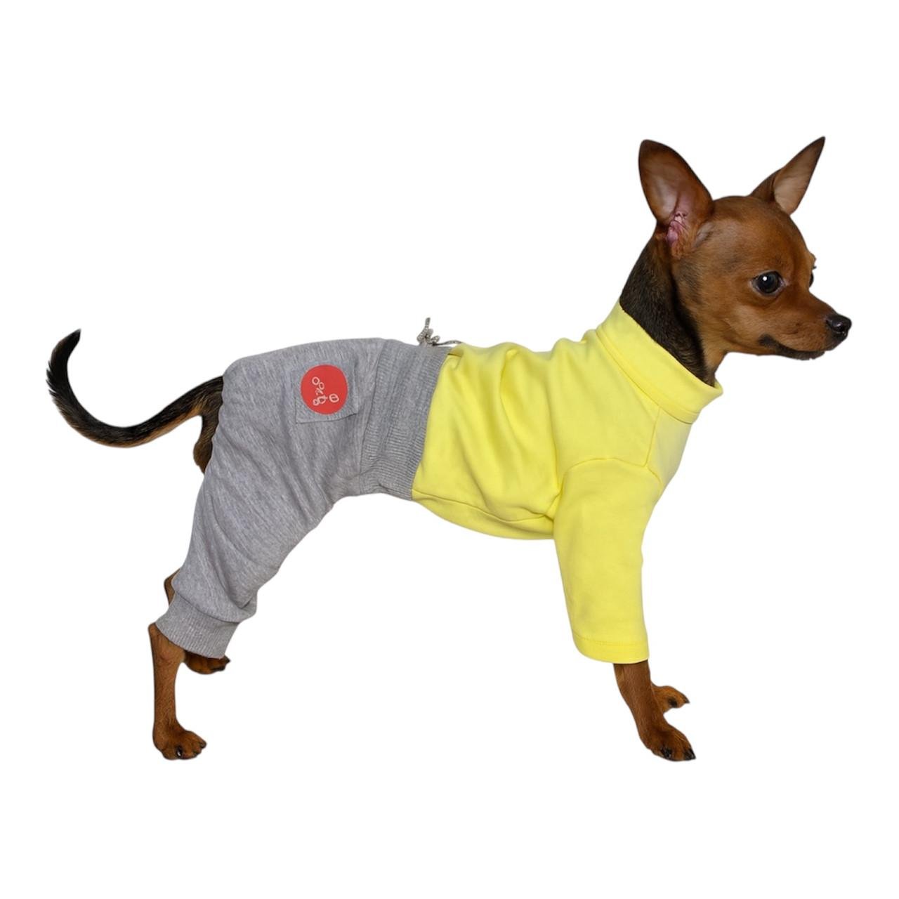 Костюм для собак Diego XS Желто-серый (124181988)