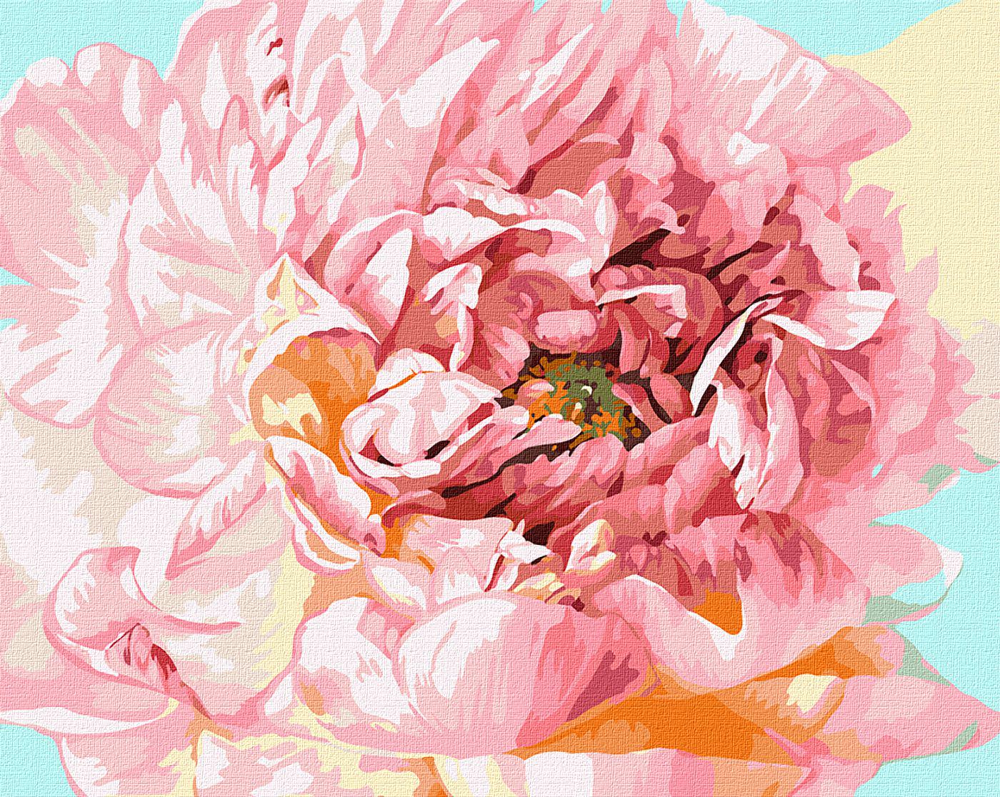 Картина по номерам Идейка Нежный пион 40x50 см (KH2996)