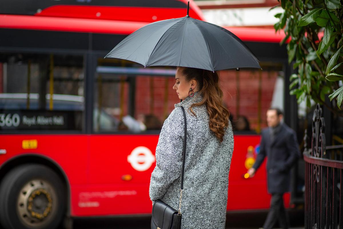 Парасолька жіноча-тростина Fulton Bloomsbury-2 L754 Lynx (L754-034941) - фото 12 Парасолька жіноча-тростина Fulton Bloomsbury-2 L754 Lynx (L754-034941) - фото 12