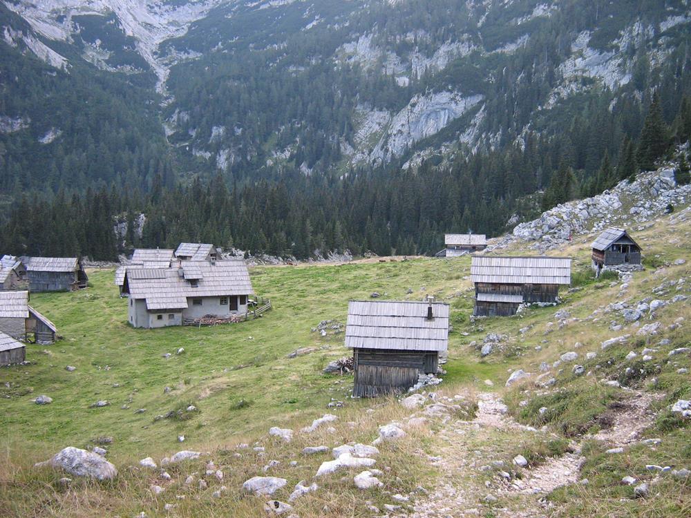 Картина Природа PR161 55х85 см