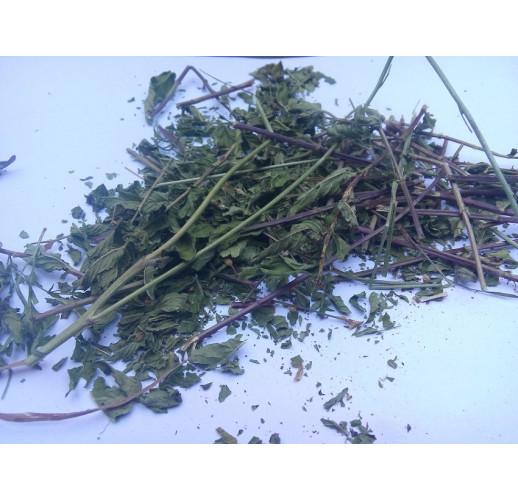 Сушеная трава мяты перцовой Herbs Zaporoje 5 кг (С0104)