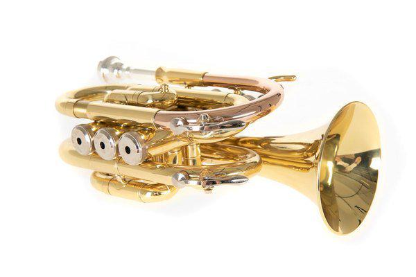 Труба карманная Roy Benson PT-101 Bb-Pocket trumpet латунь (G-RB701000) - фото 6