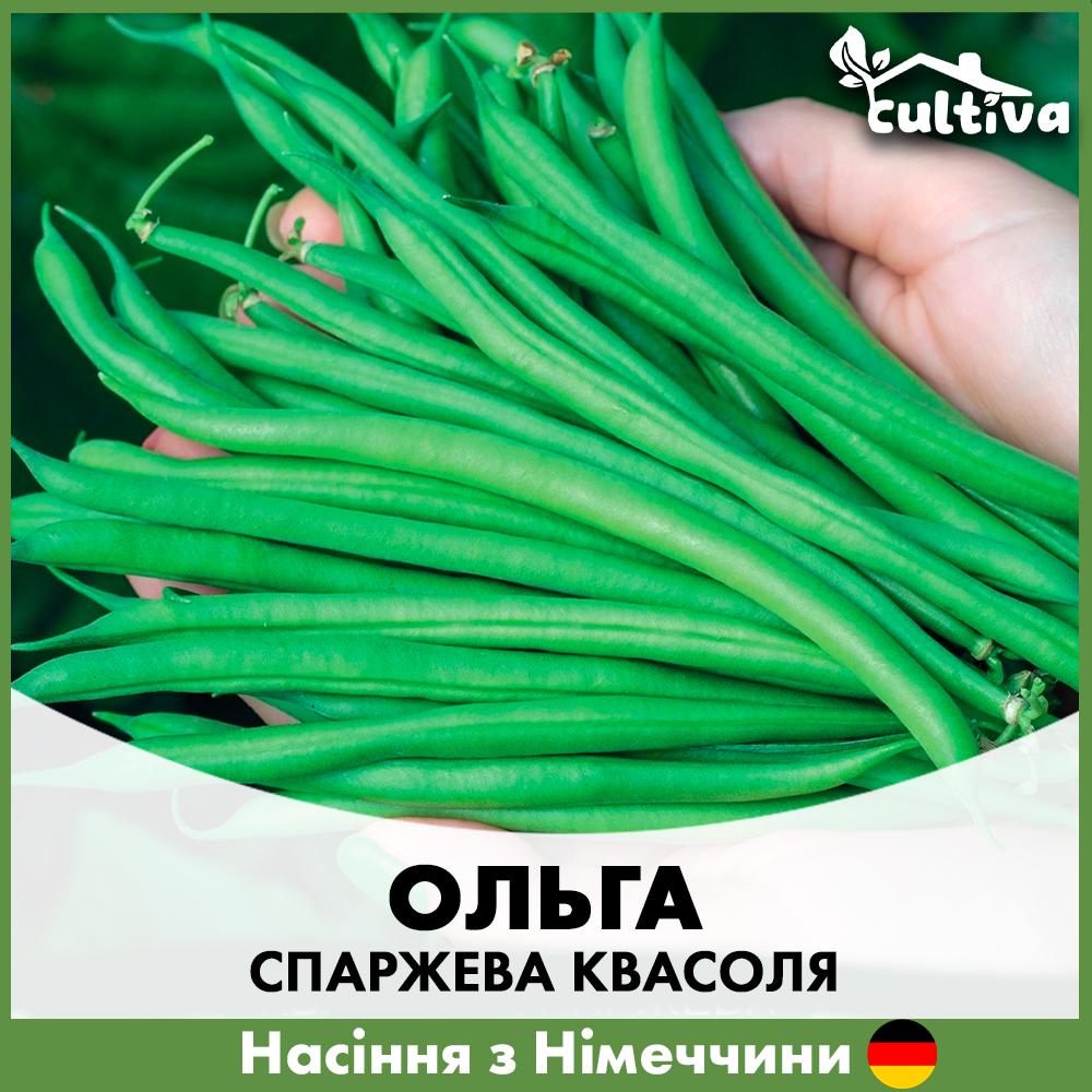 Насіння спаржева квасоля Satimex Ольга 20 г (R50220)