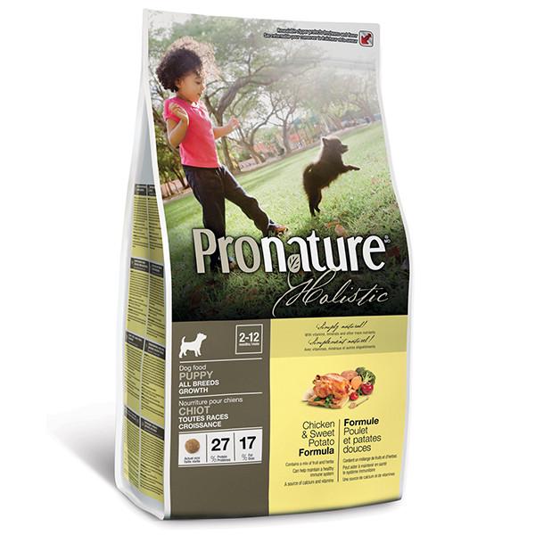 Корм сухой для щенков Pronature Holistic Puppy Chicken & Sweet Potato 2,72 кг (6214262) Корм сухой для щенков Pronature Holistic Puppy Chicken & Sweet Potato 2,72 кг (6214262)