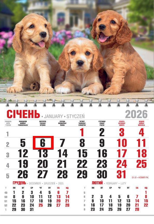 Календар на 2026 р. Офісний економ Кокер Спаніель