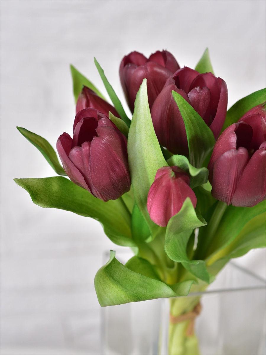 Тюльпан букет Indigo Premium 7 голов 30 см Темно-фиолетовый (73229-4) - фото 2