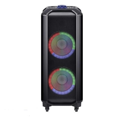 Система акустическая HS-TD1010 с двумя микрофонами (15696)