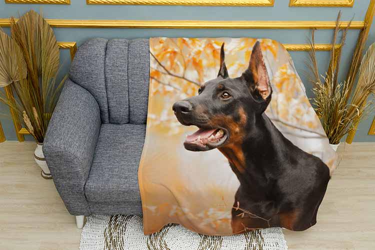 Плед Autumn Doberman плюш однослойный 135х150 см (113444)