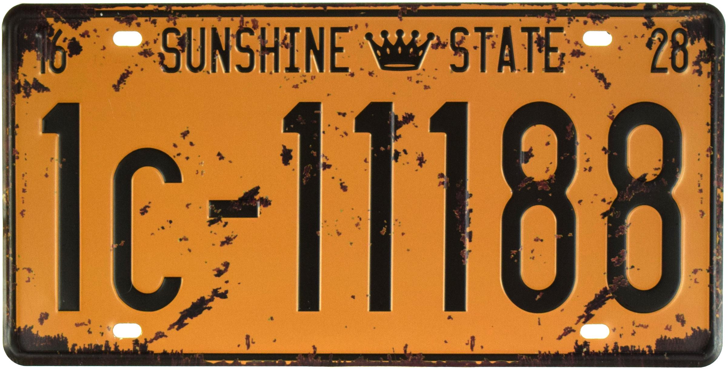 Табличка металлическая Солнечный Штат/Sunshine State 1с 11188 15x30 см