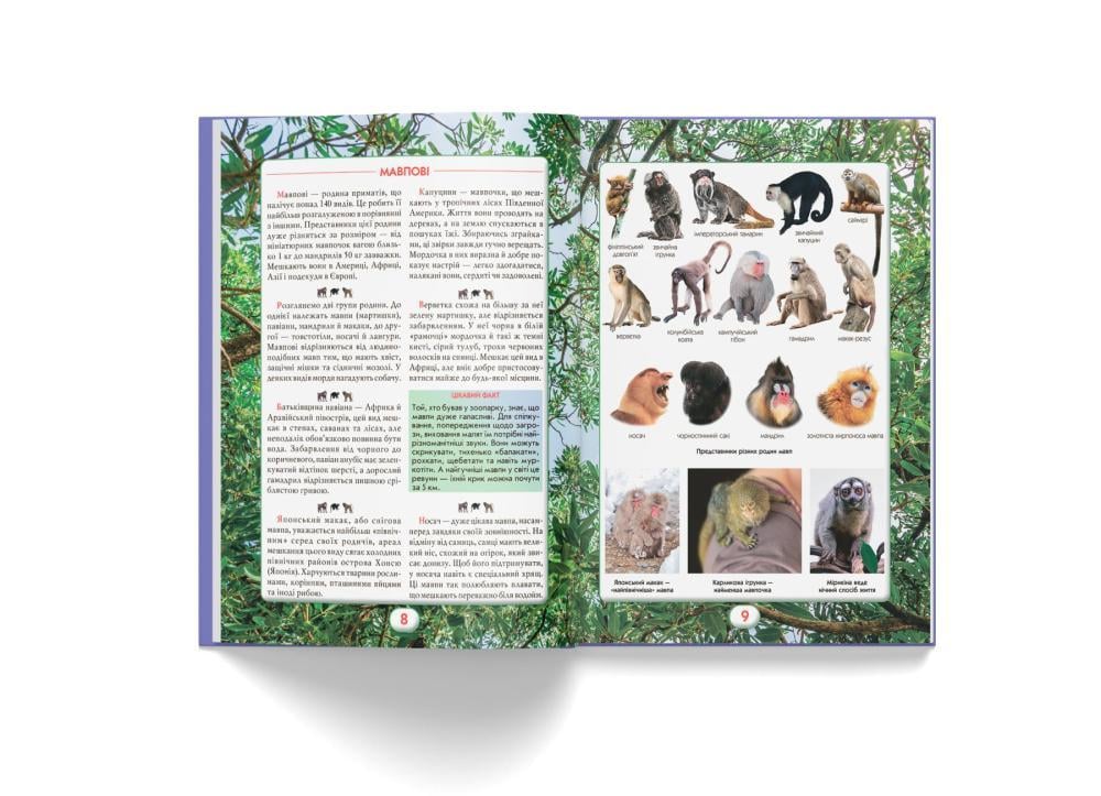 Книга "Ви маєте це знати. Світ звірів" (F00031321) - фото 5 Книга "Ви маєте це знати. Світ звірів" (F00031321) - фото 5