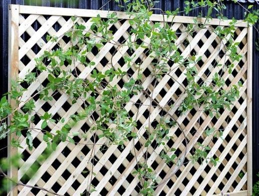 Шпалера садовая из дерева Кумбо Бланже (ШПЛ-001501)