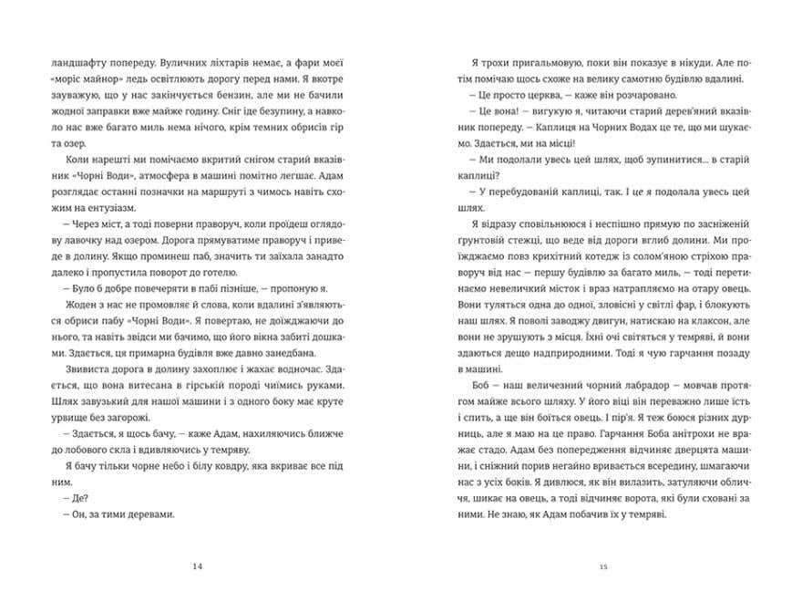 Книга "Камінь. Ножиці. Папір" тверда обкладинка Еліс Фіні (9786178286200) - фото 6