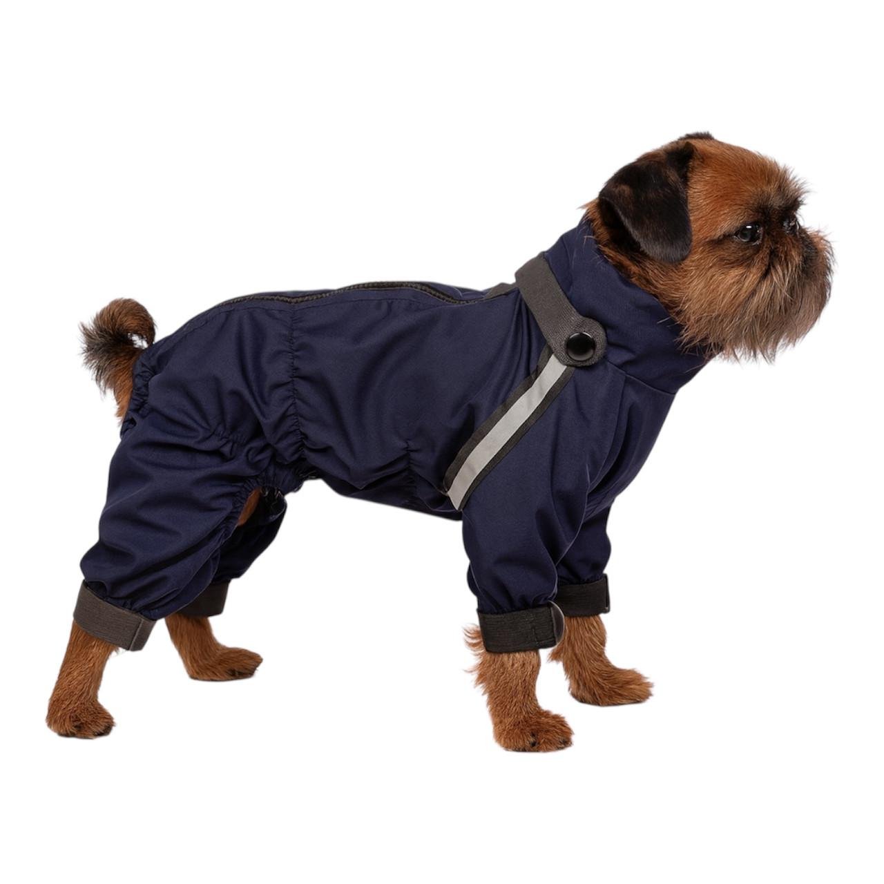 Дождевик для собак девочек Diego Rain Print р. 2 (124181911)