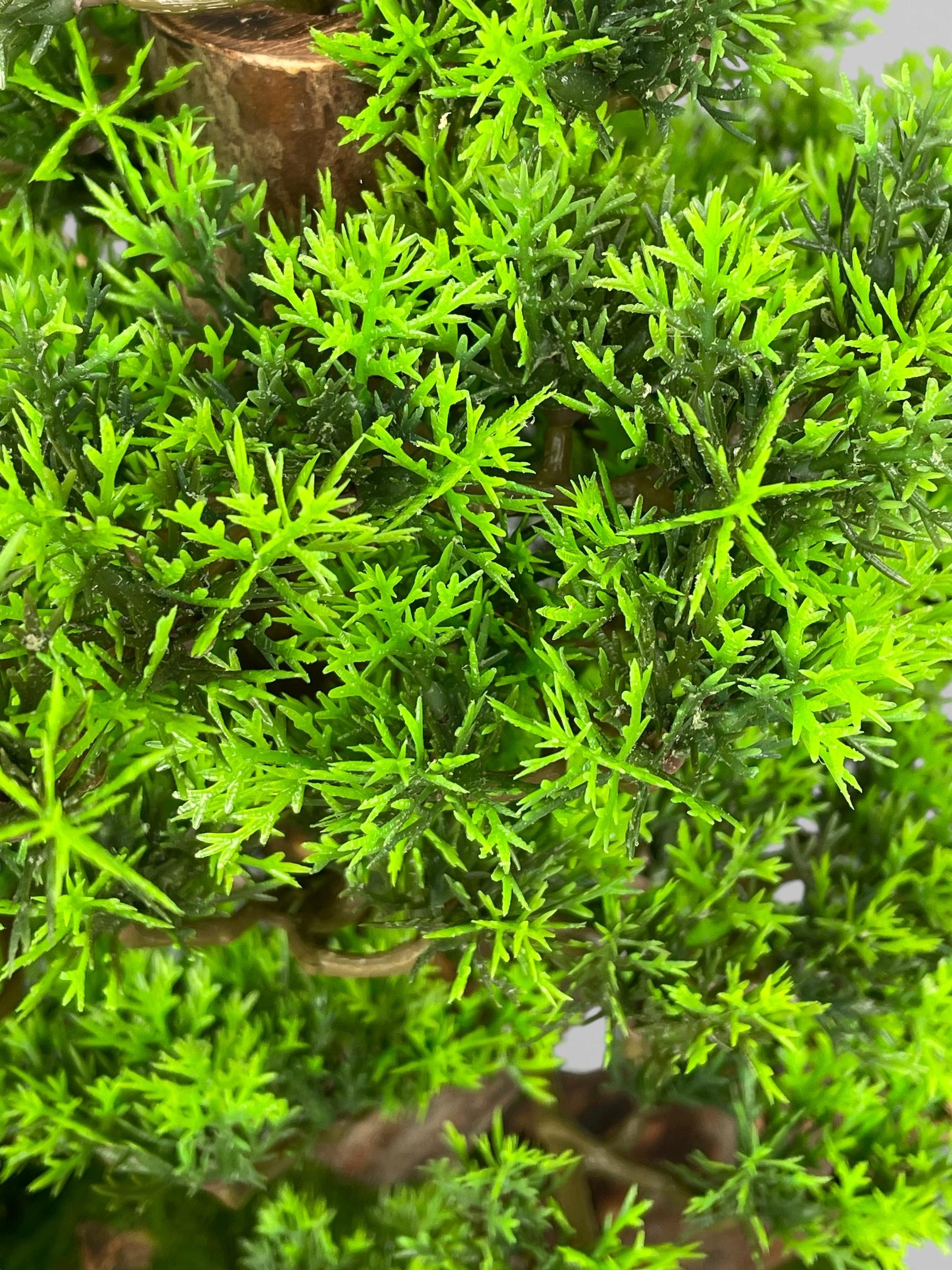 Бонсай 51 см Зеленый (Б010) - фото 3 Бонсай 51 см Зеленый (Б010) - фото 3