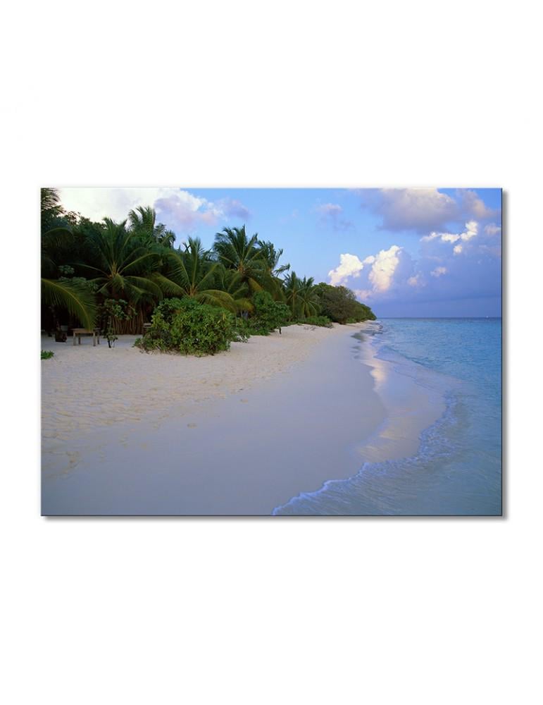 Картина модульная Пальмы вдоль побережья 1 модуль 50x75 см